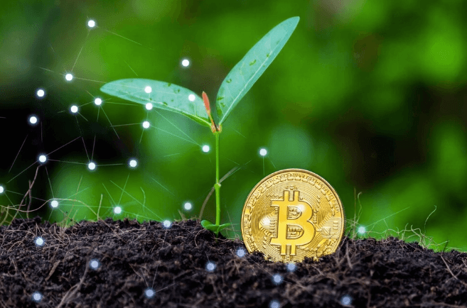 How Blockchain Technology Is Transforming Agriculture